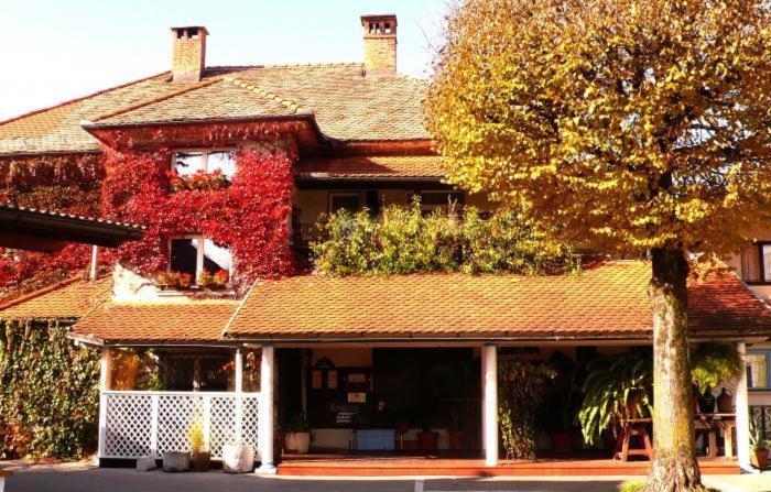 Hotel Sporn Radomlje エクステリア 写真