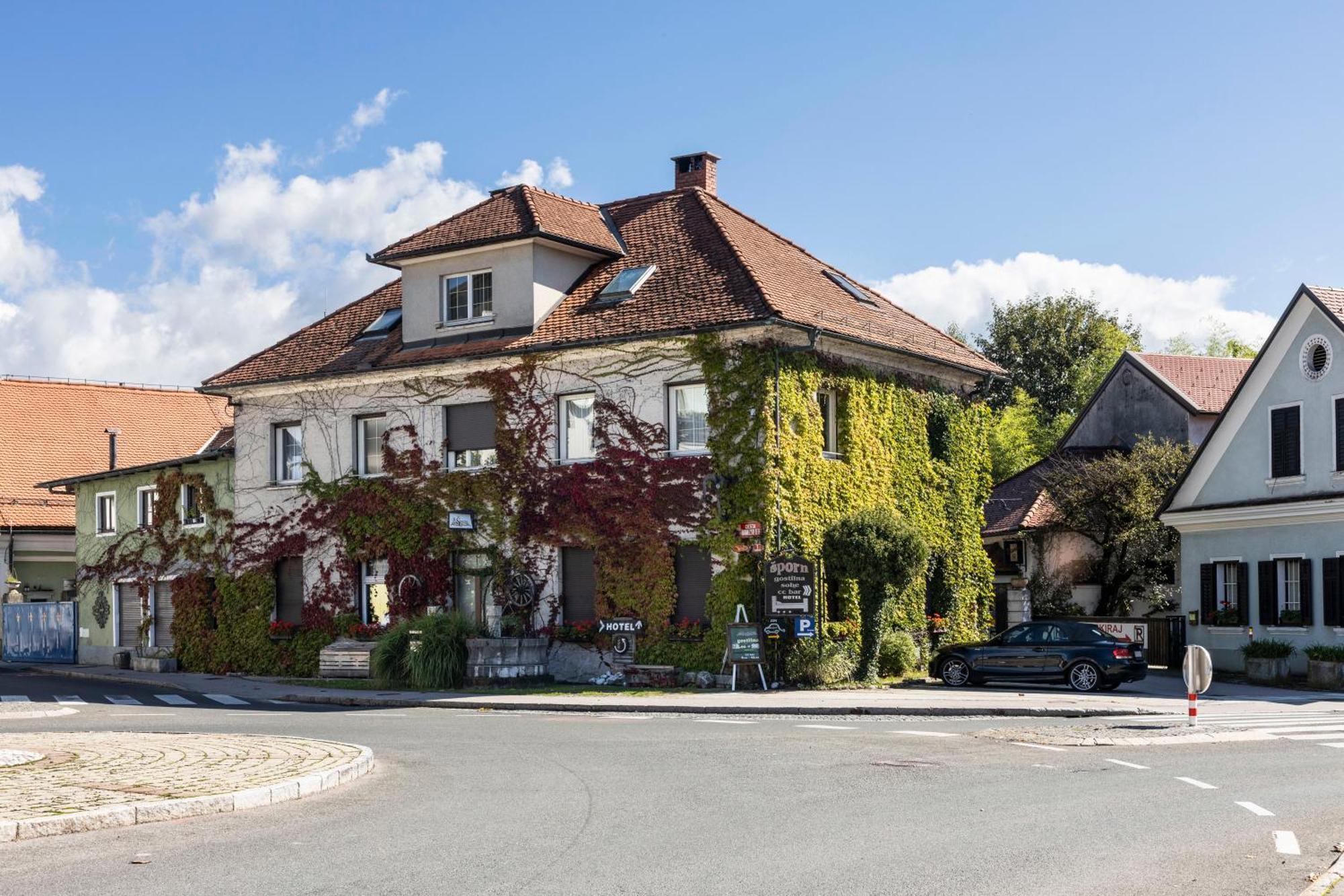 Hotel Sporn Radomlje エクステリア 写真
