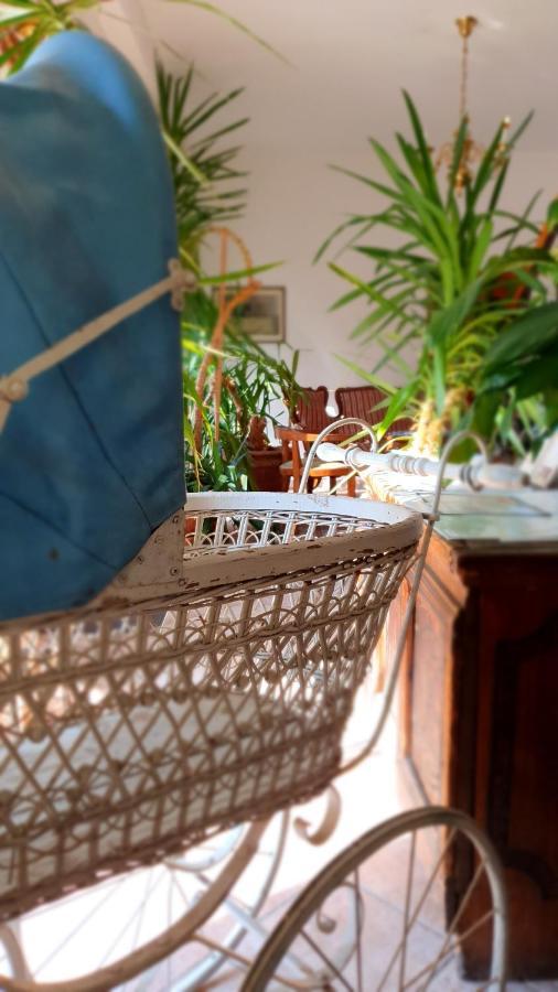 Hotel Sporn Radomlje エクステリア 写真